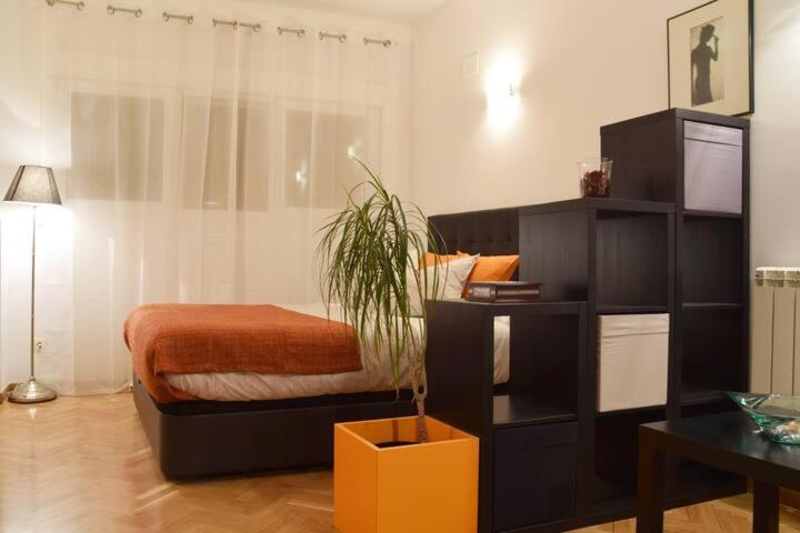 Estudio Acogedor Y Luminoso Apartment Madrid Luaran gambar