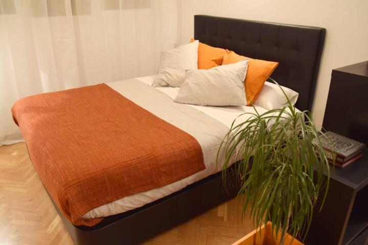 Estudio Acogedor Y Luminoso Apartment Madrid Luaran gambar